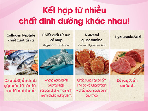 BANNER SAN COLLAGEN_600x450-02.jpg